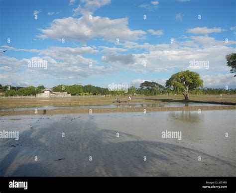 marelo gapan city|Gapan City, Nueva Ecija Profile – PhilAtlas.